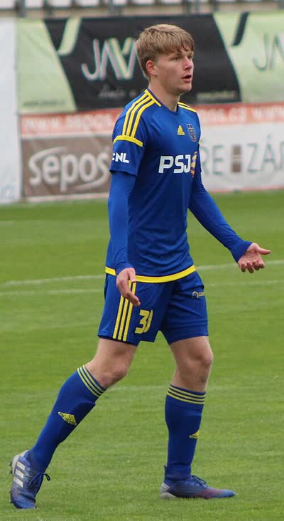 Pavel Šulc